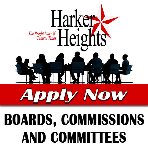 Board, Commission & Committee