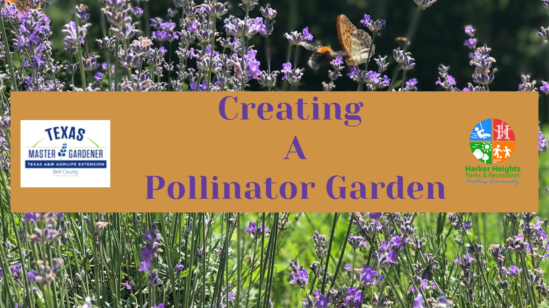 Pollinator Garden