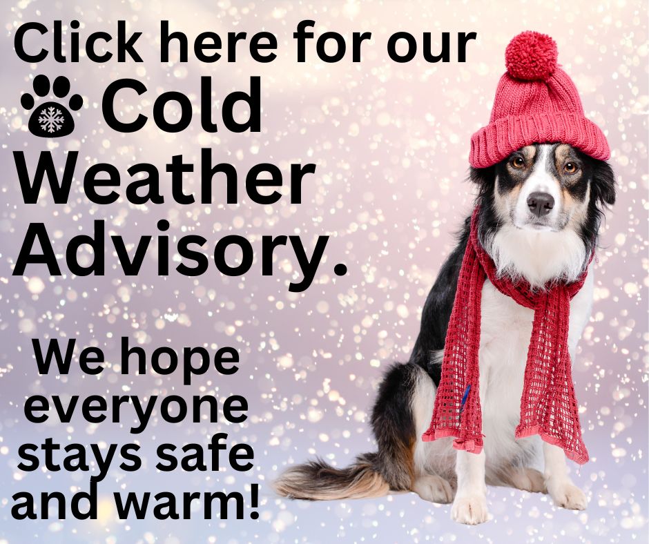 COLD WEATHER 1