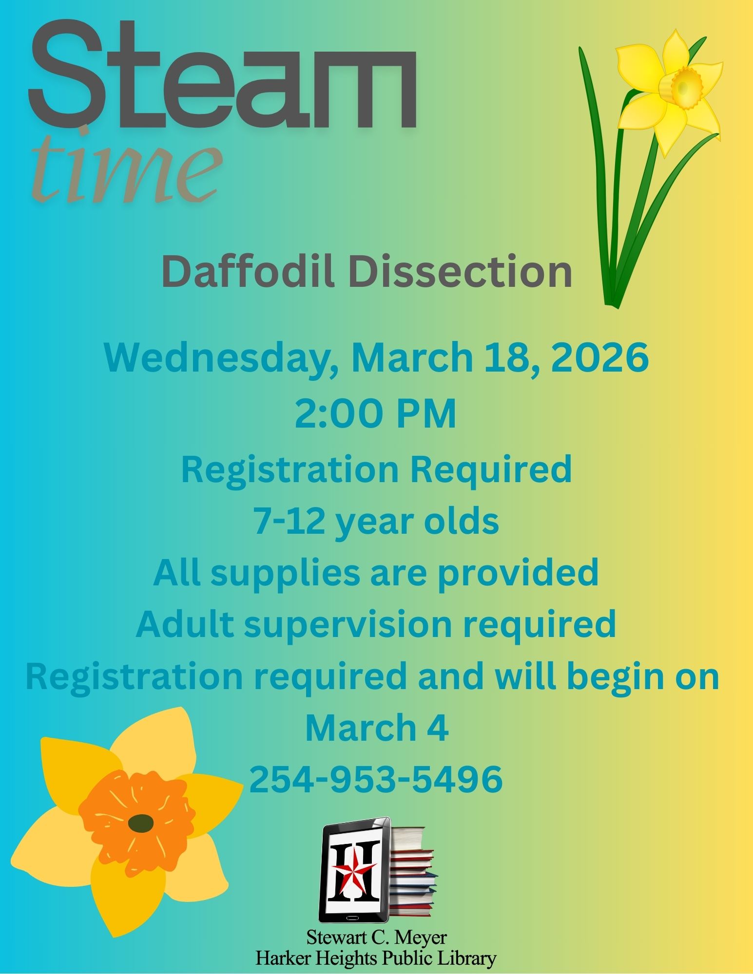 Daffodil Dissection 03.18.26