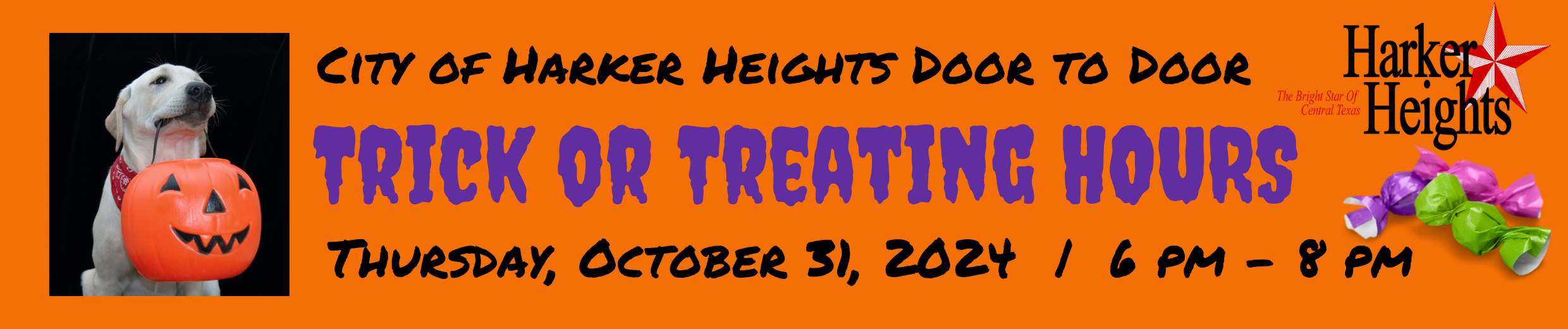 Trick or Treat Hours 2024