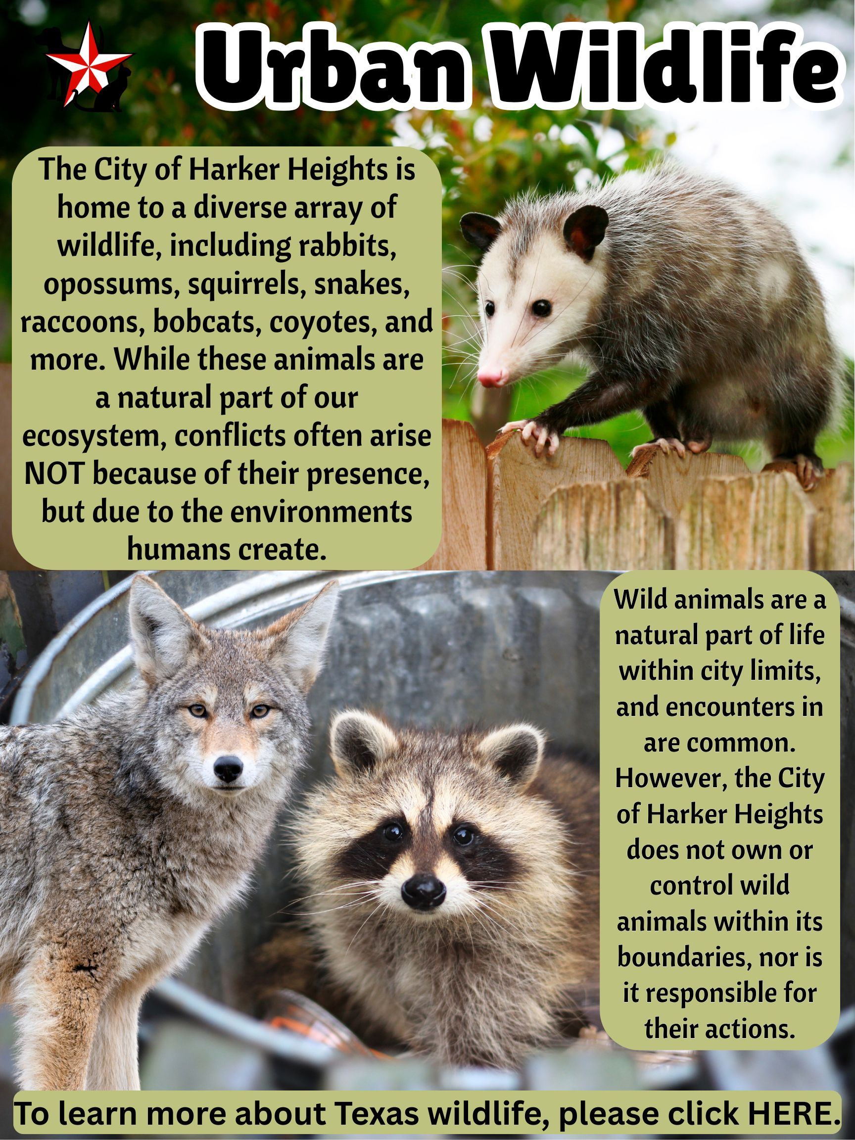 WILDLIFE 1