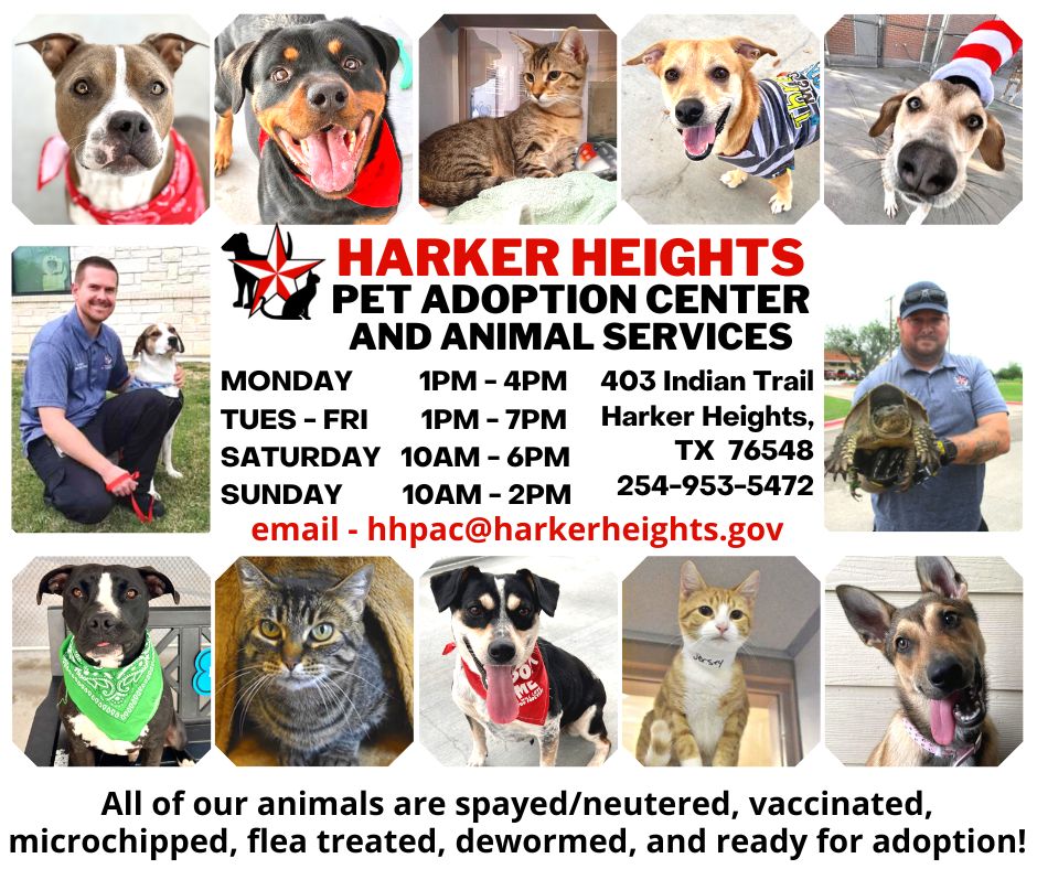 City of Harker Heights Pet Adoption Center
