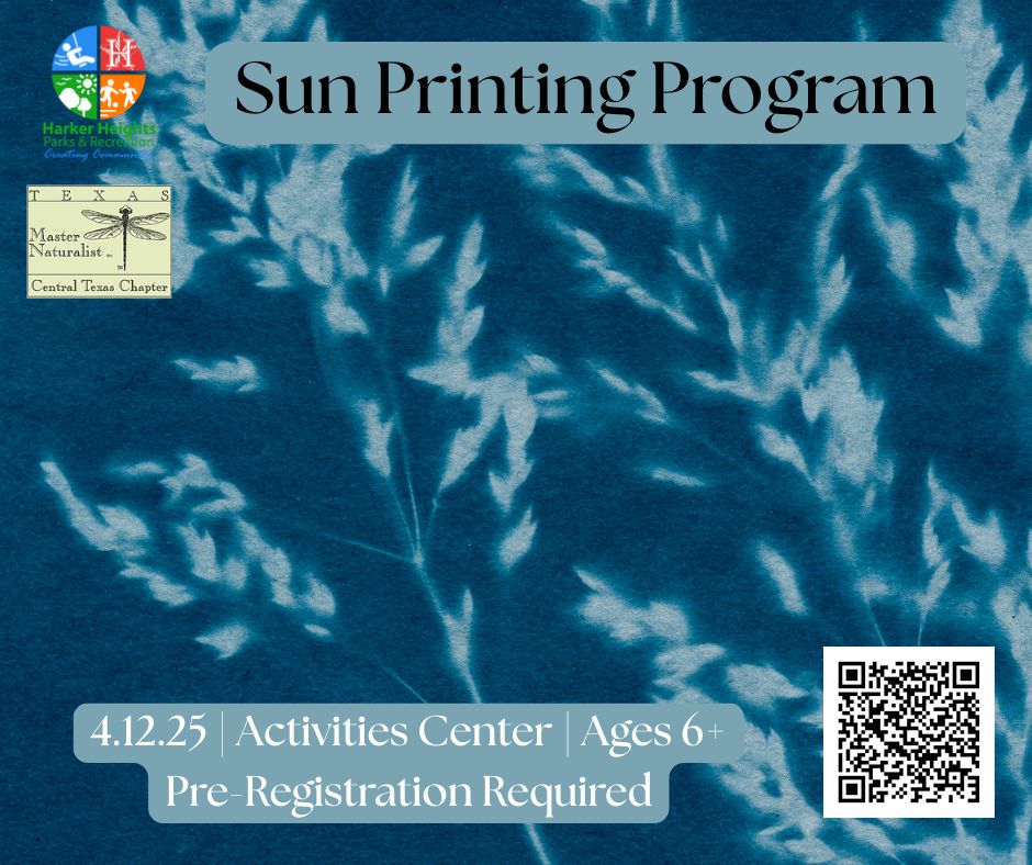 sun printing program