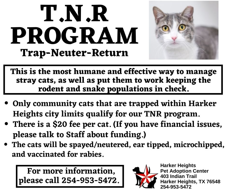 tnr 1