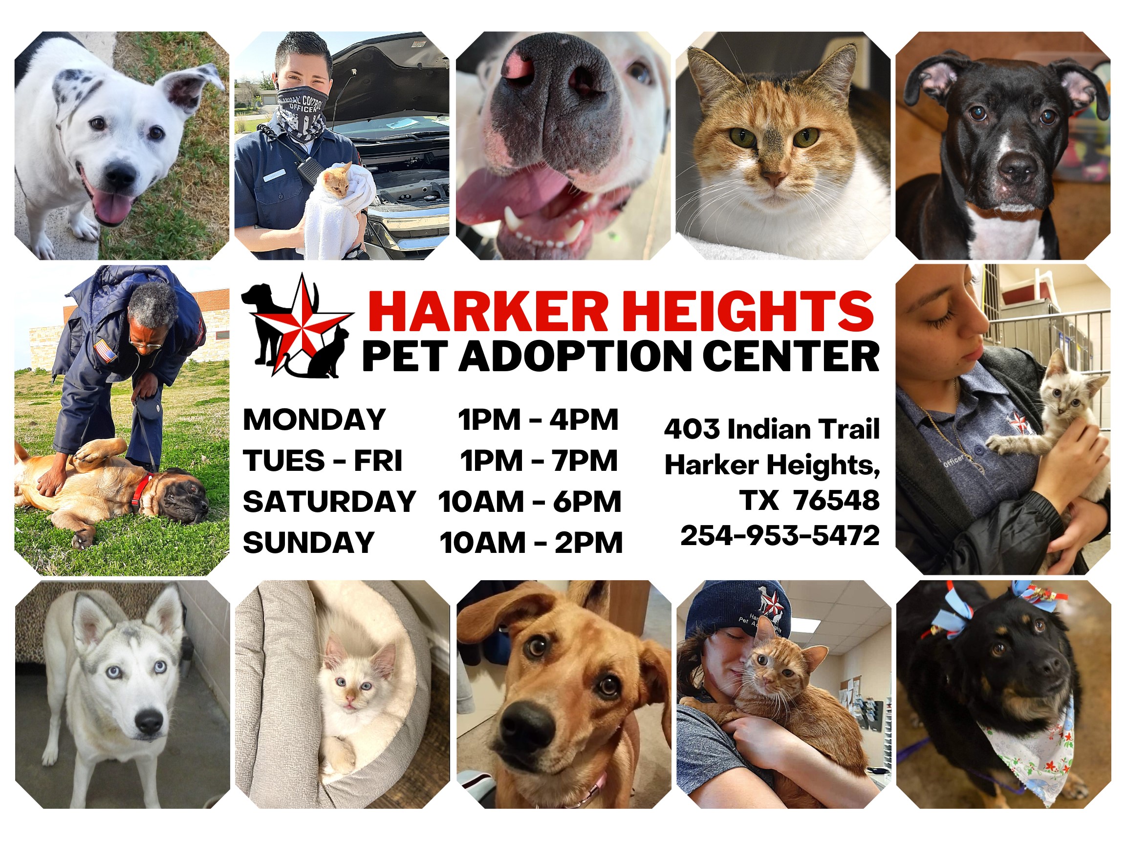 City of Harker Heights Pet Adoption Center